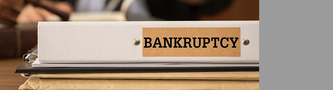 Bankruptcy and Insolvency